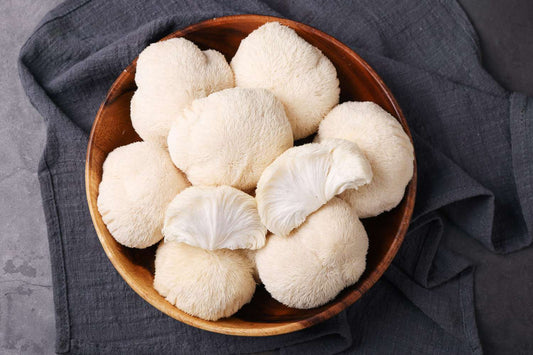 Lion’s Mane Dosage and Neuroplasticity