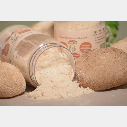 Lion's Mane / Hericium Erinaceus