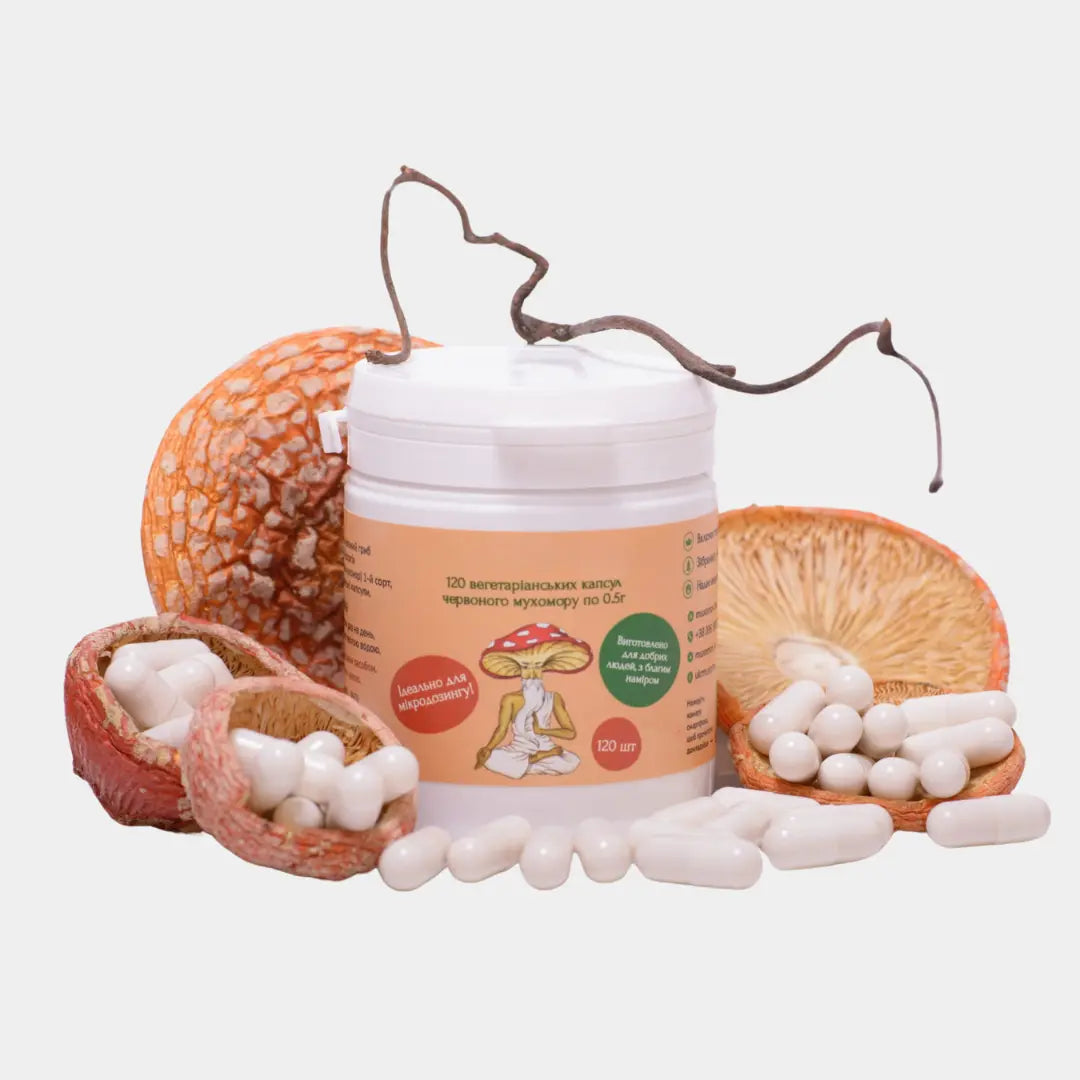 Buy Premium Amanita Muscaria specimens for display and study. Ethically sourced, dried caps or powder. Add to your collection today—worldwide shipping.