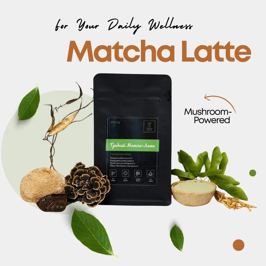 Buy creamy vegan matcha latte with coconut cream & 4 mushroom extracts 10:1 Cordyceps, Reishi, Lion’s Mane, Turkey Tail. Plant-based focus, no crash — shop now!