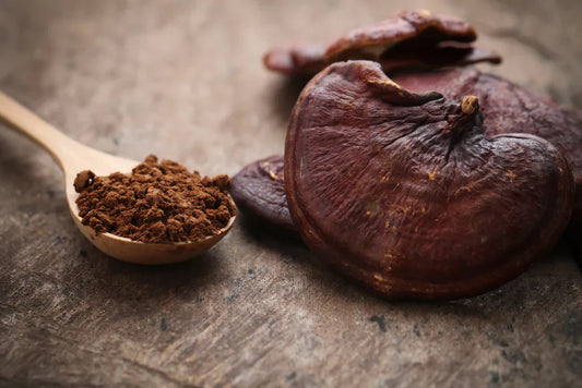Discovering the World of Functional Mushrooms for Well-being