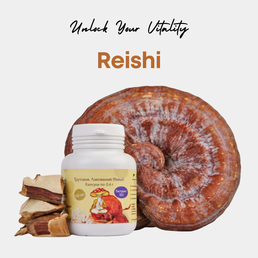 Reishi