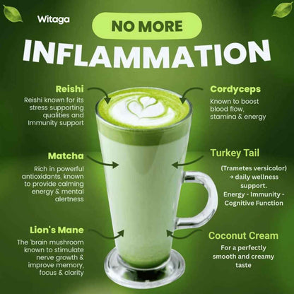 Mushroom Matcha Latte