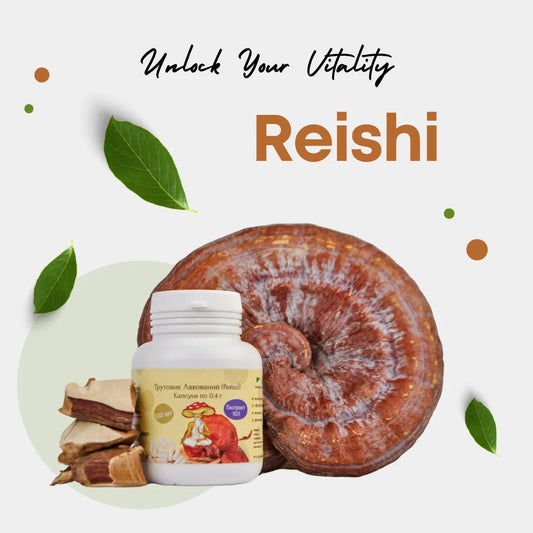 Buy Premium Reishi Supplement - Ganoderma lucidum extract