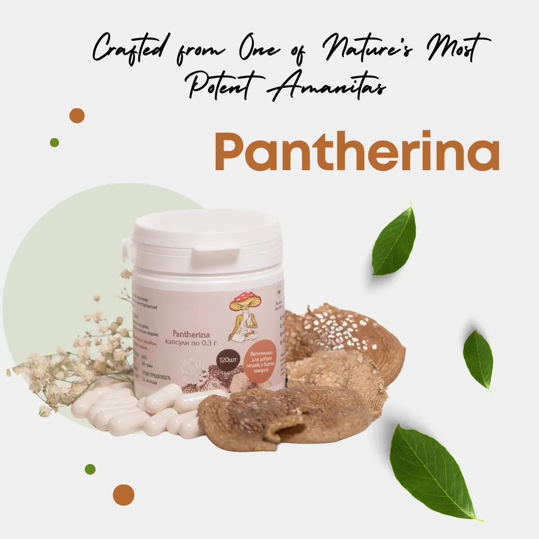 Pantherina