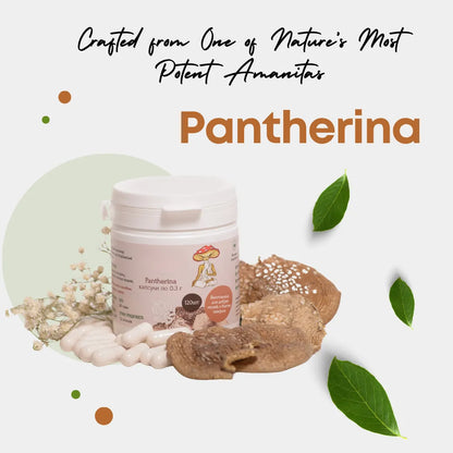 Pantherina