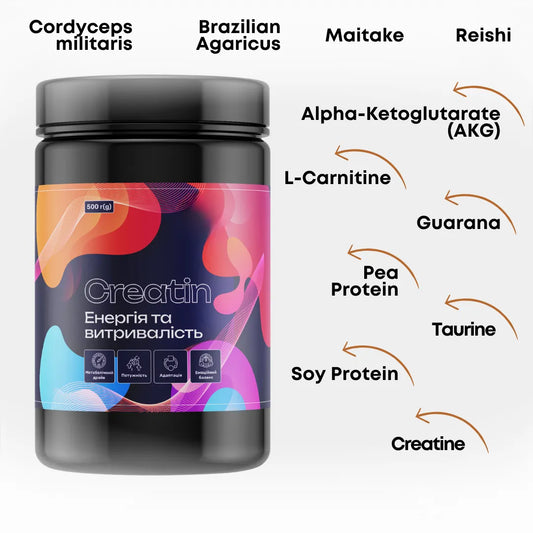 Energy & Endurance