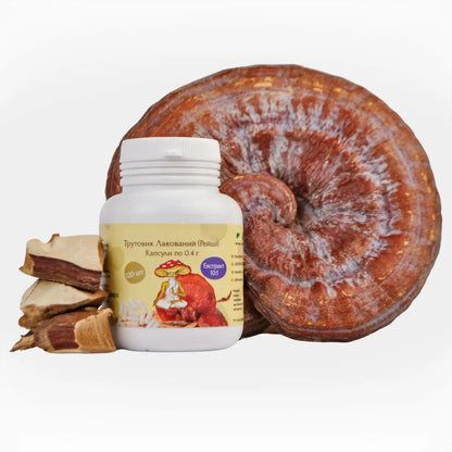 Reishi