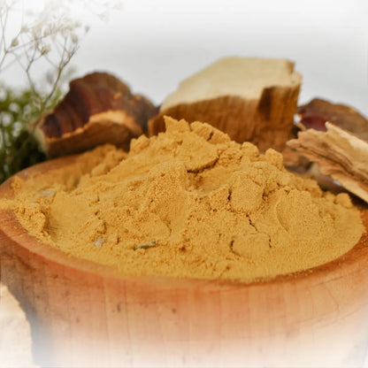 Reishi