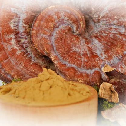 Reishi
