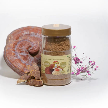 Reishi