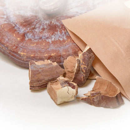 Reishi