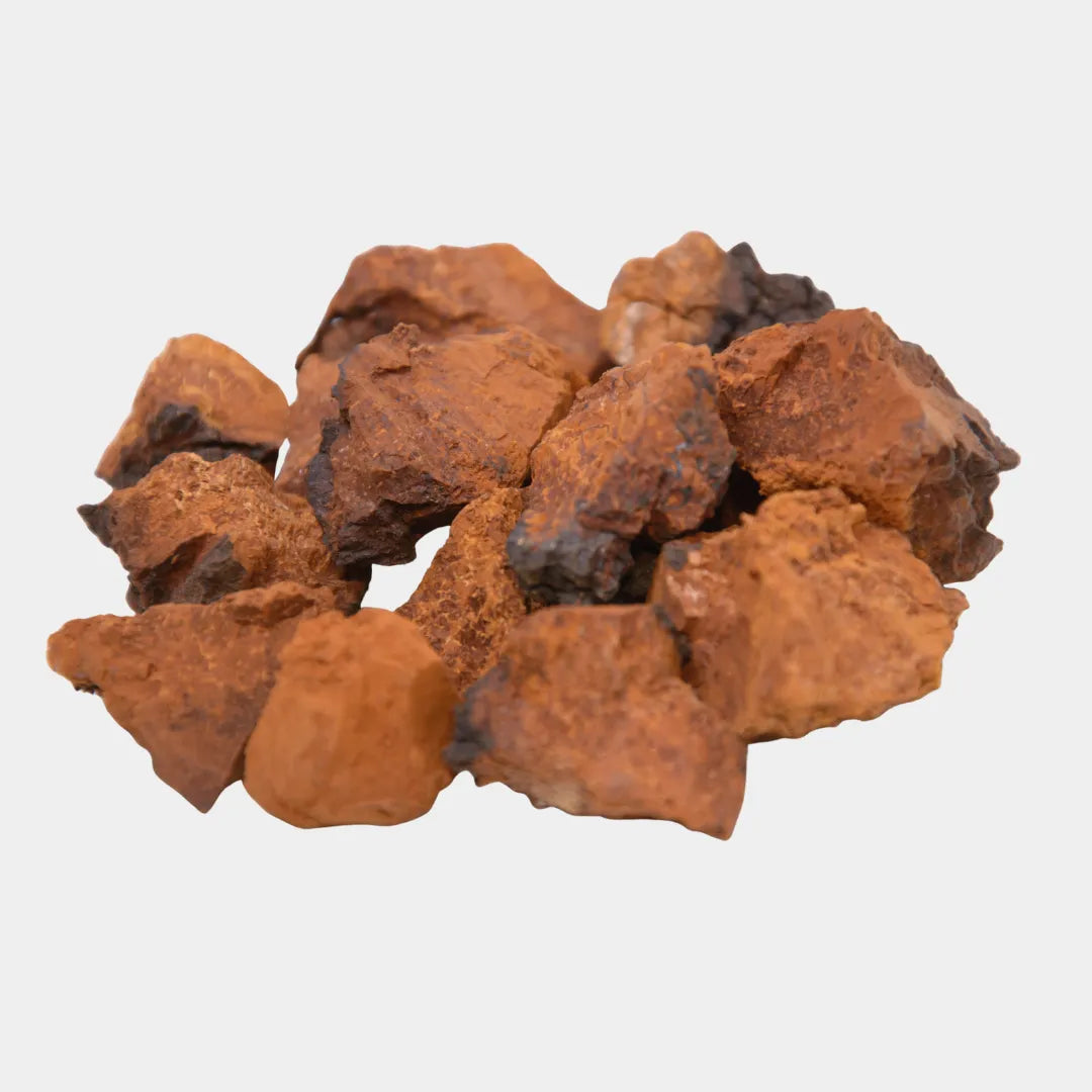 Chaga
