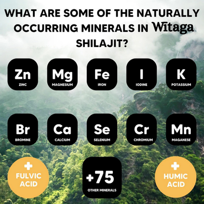 Himalayan Shilajit