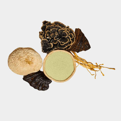Mushroom Matcha Latte