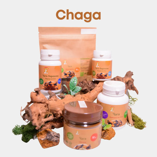 Chaga
