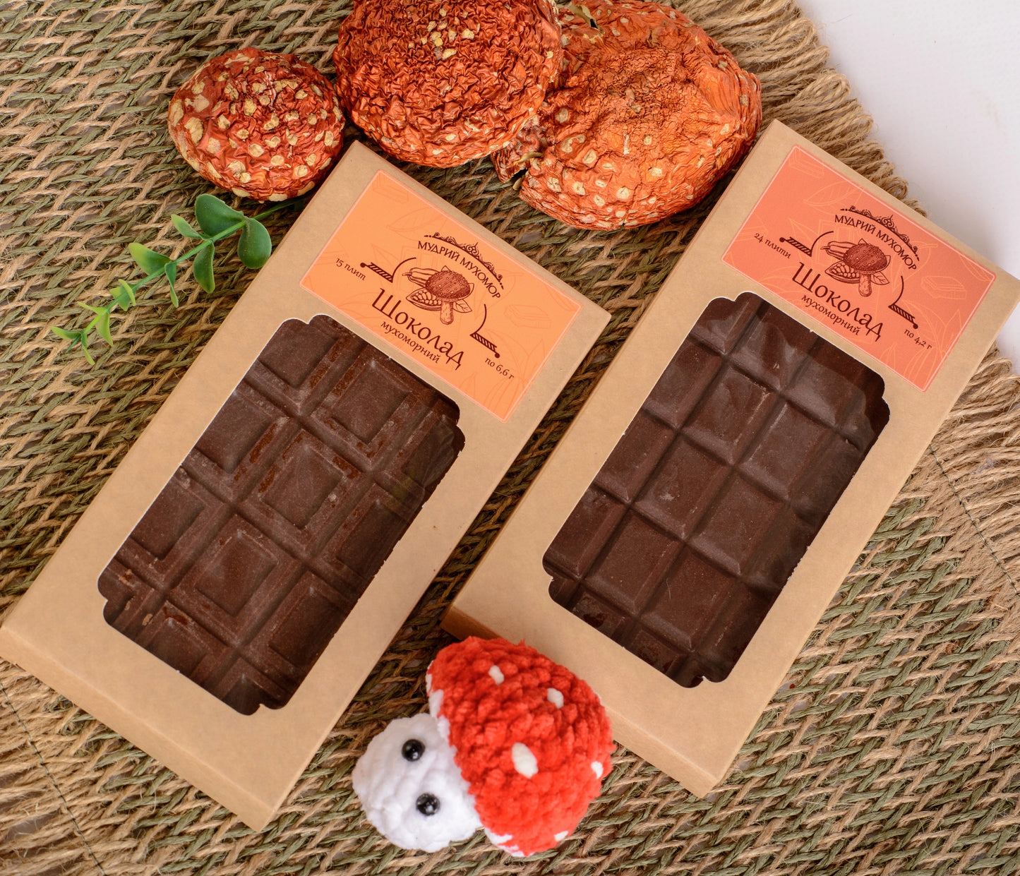 Mushroom Chocolate
