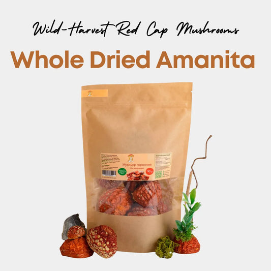 Amanita Dried